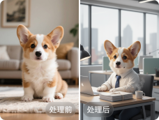 示意图