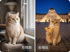 示意图