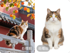 示意图
