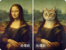 示意图